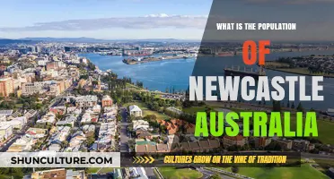 Exploring Newcastle, Australia: Population Insights