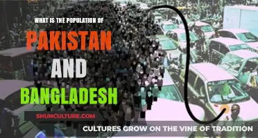 Pakistan and Bangladesh Population: A Comparative Analysis of Demographics