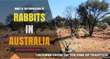 Rabbits in Australia: Population Boom or Bust?