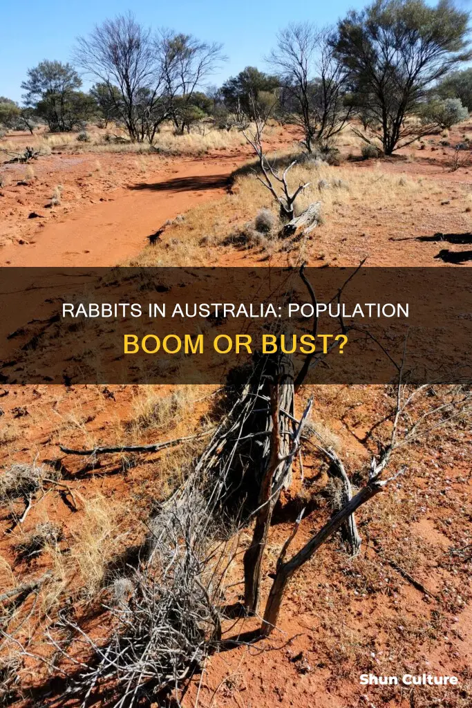 what is the population of rabbits in australia