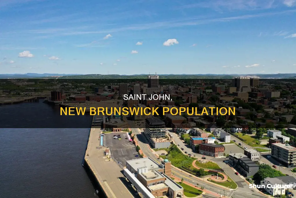 what is the population of saint john new brunswick