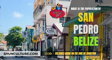 Belize's San Pedro Population Boom: A Tropical Town Transformed