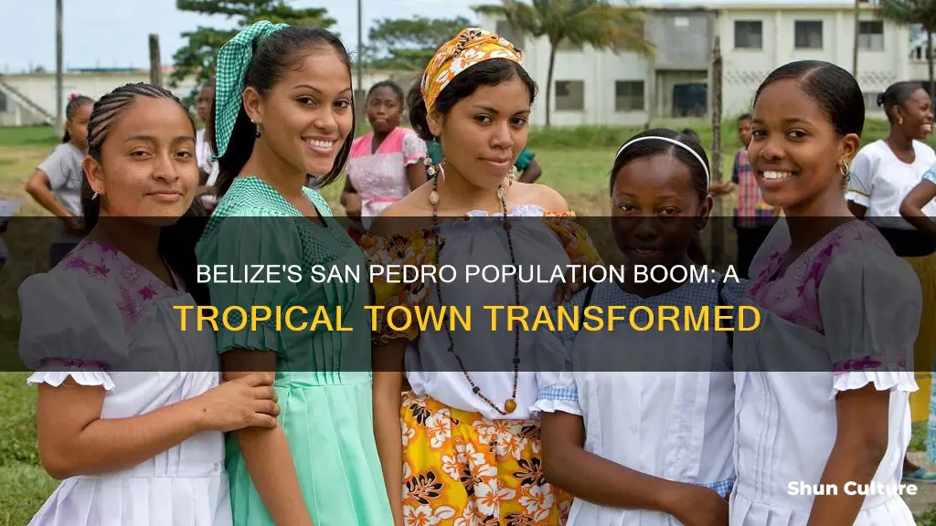 what is the population of san pedro belize