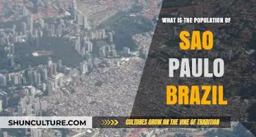 Exploring São Paulo: Unveiling Brazil's Largest City's Population Count