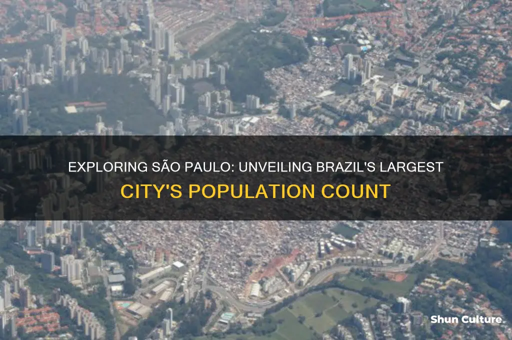 what is the population of sao paulo brazil