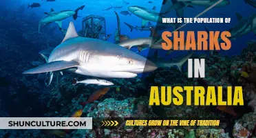 Sharks in Australia: Population Insights