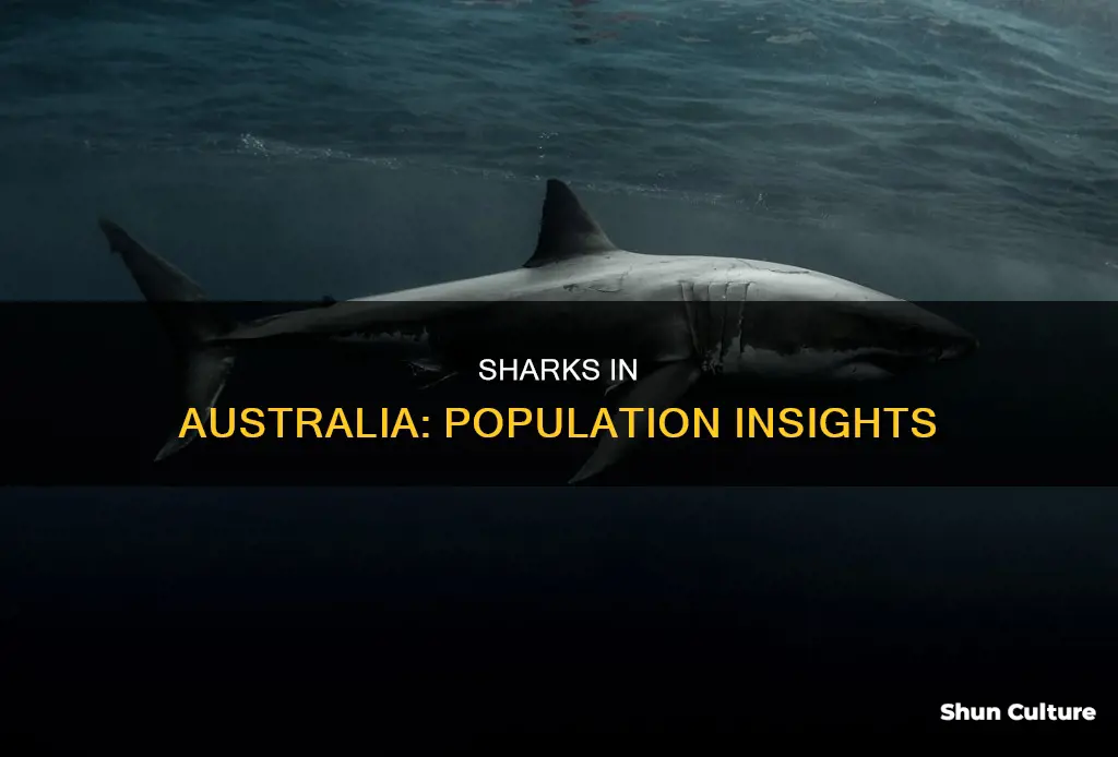 what is the population of sharks in australia