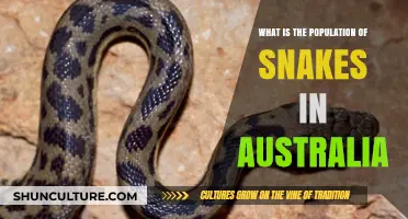 Exploring Australia's Snake Population: How Many Exist?