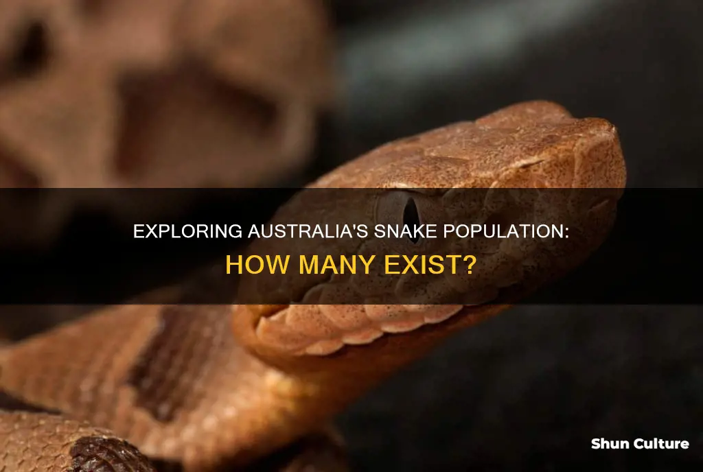 what is the population of snakes in australia