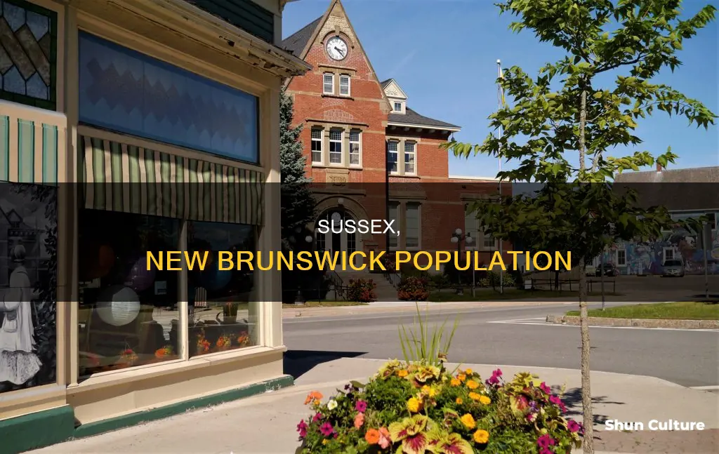 what is the population of sussex new brunswick