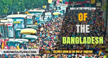 Exploring Bangladesh's Population: Current Figures and Growth Trends