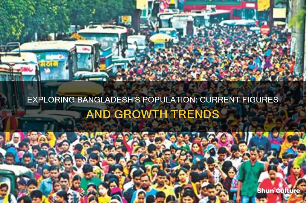 what is the population of the bangladesh