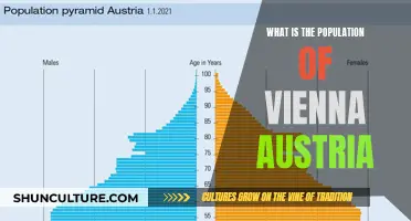 Vienna's Vibrant Population: A Thriving Austrian City