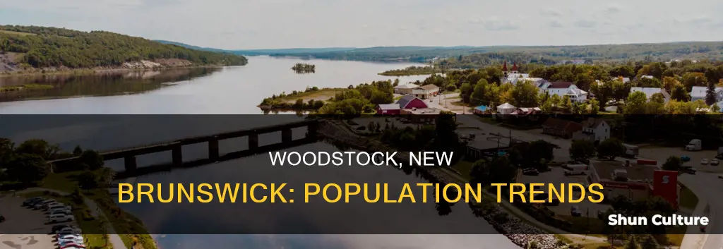 what is the population of woodstock new brunswick