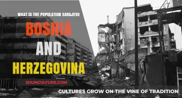 Sarajevo's Population: Exploring Bosnia and Herzegovina's Capital City