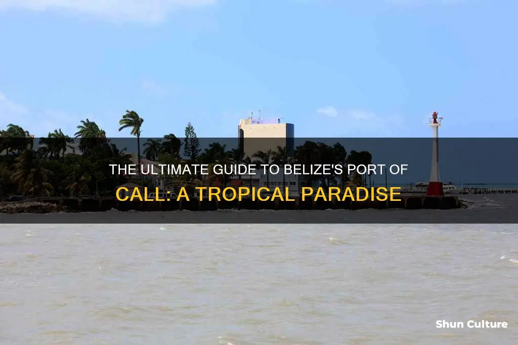 what is the port of call for belize