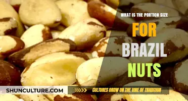 Brazil Nuts Portion Size: How Many Should You Eat Daily?
