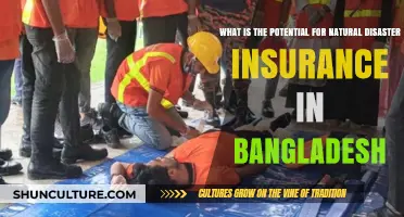 Exploring Bangladesh's Natural Disaster Insurance Potential Amid Climate Risks