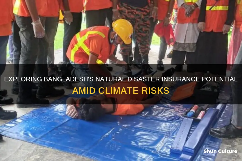 what is the potential for natural disaster insurance in bangladesh