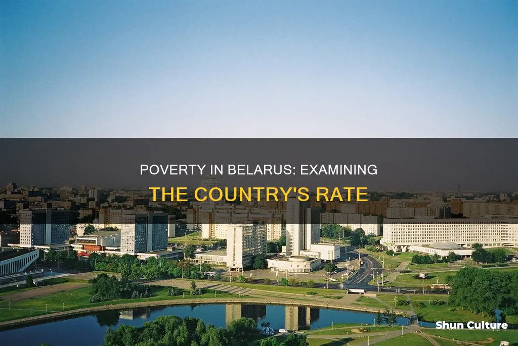 what is the poverty rate in belarus