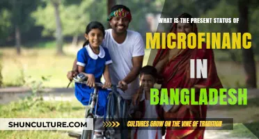 Microfinance in Bangladesh: Current Status, Challenges, and Future Prospects