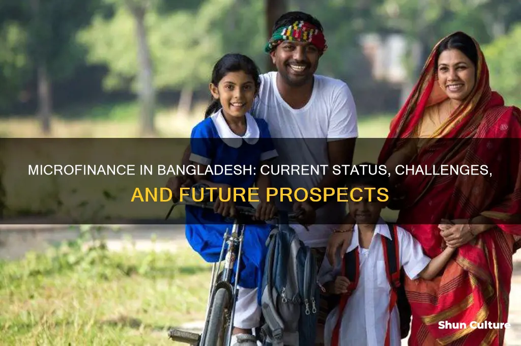 what is the present status of microfinance in bangladesh