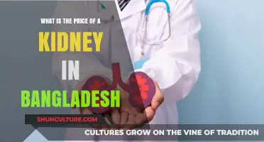 Kidney Trade in Bangladesh: Unveiling the Cost and Ethical Concerns