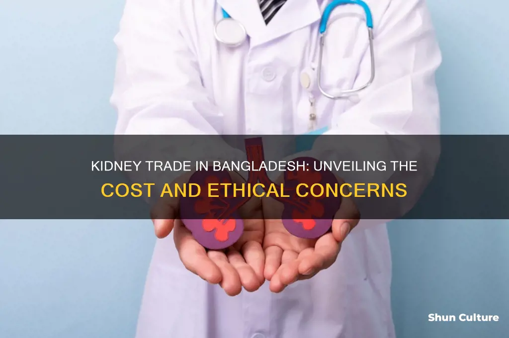 what is the price of a kidney in bangladesh