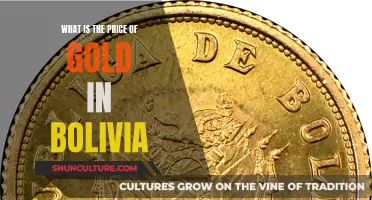 Gold Price in Bolivia: How Much Does It Cost?