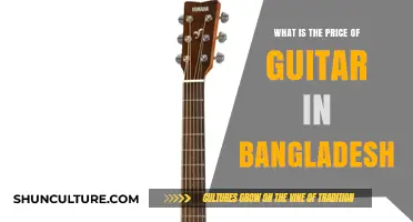 Guitar Prices in Bangladesh: A Comprehensive Guide for Buyers