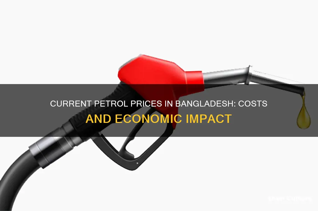 what is the price of petrol in bangladesh