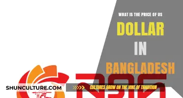 US Dollar to Bangladeshi Taka: Current Exchange Rate and Value Insights