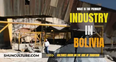 The Backbone of Bolivia: Exploring Its Primary Industries