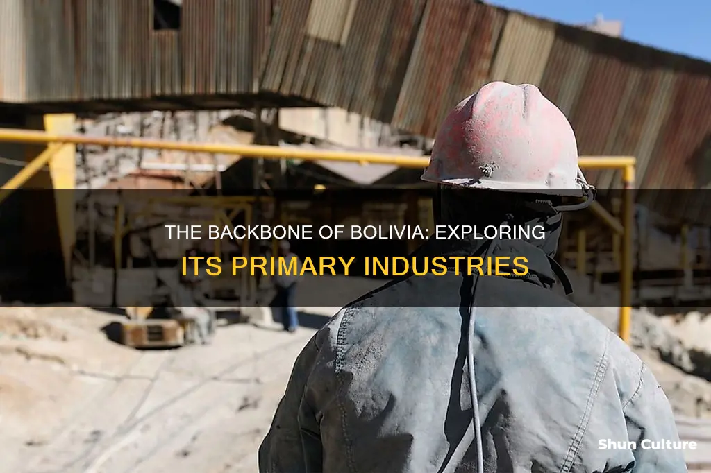 what is the primary industry in bolivia