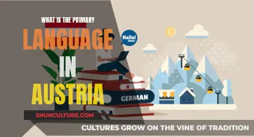 Unveiling Austria's Official Language: A Linguistic Journey