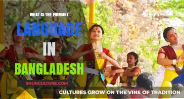 Exploring Bangladesh's Primary Language: Bengali's Cultural and Historical Significance