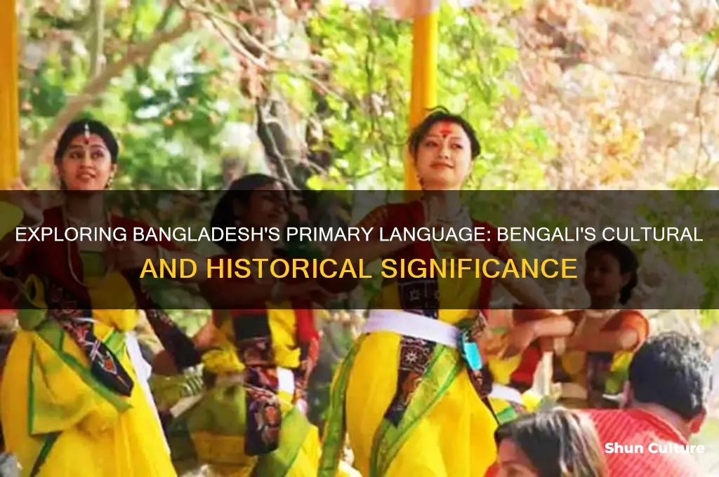 what is the primary language in bangladesh