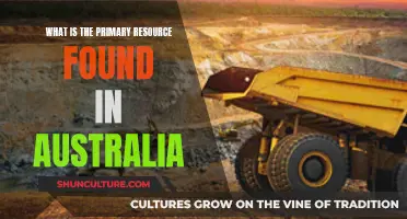 Exploring Australia's Vast Primary Resource: Minerals and Beyond