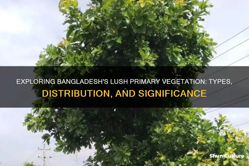 what is the primary vegetation of bangladesh
