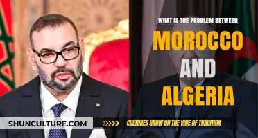 Morocco-Algeria Tensions: Unraveling the Complex Dispute and Its Origins