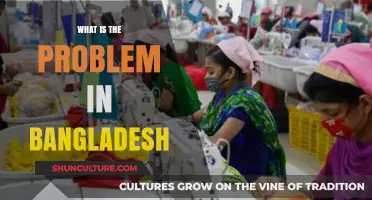 Unraveling Bangladesh's Challenges: Poverty, Corruption, and Environmental Crises