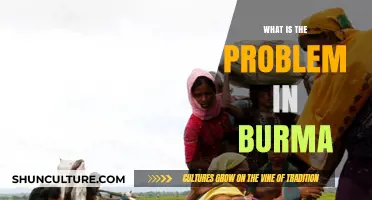 Unraveling the Complex Crisis in Burma: A Deep Dive into the Issues