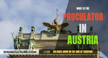 Proculator's Presence: Exploring Austria's Ancient Roman Legacy