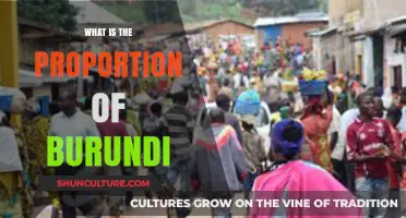 Exploring Burundi's Demographic Composition: A Detailed Breakdown