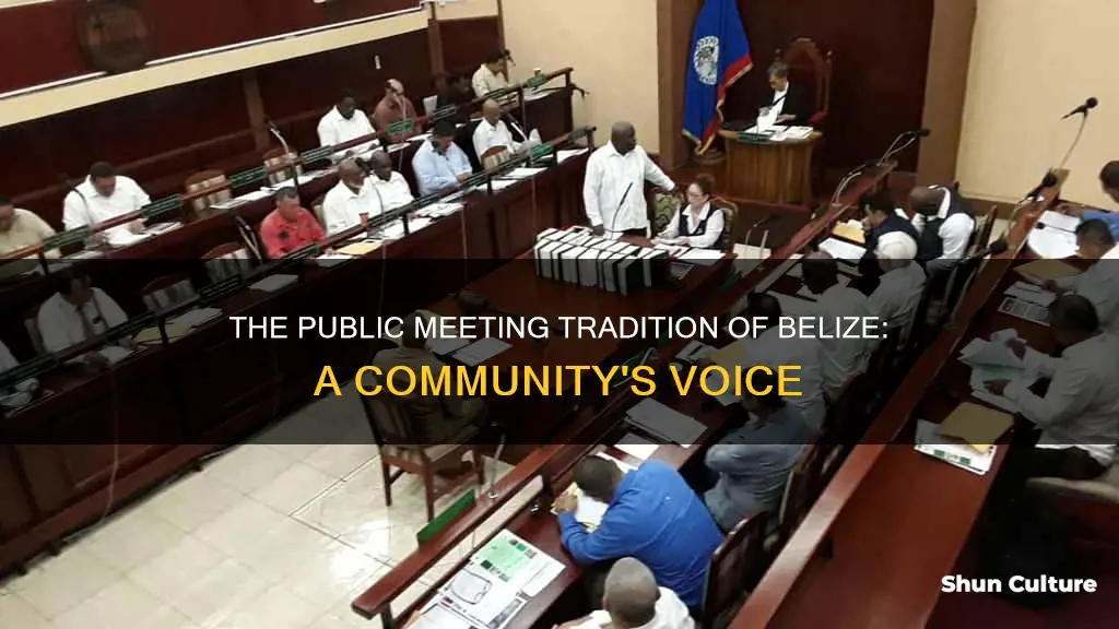 what is the public meeting belize