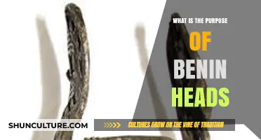 Unveiling the Mystique: The Cultural Significance of Benin Heads