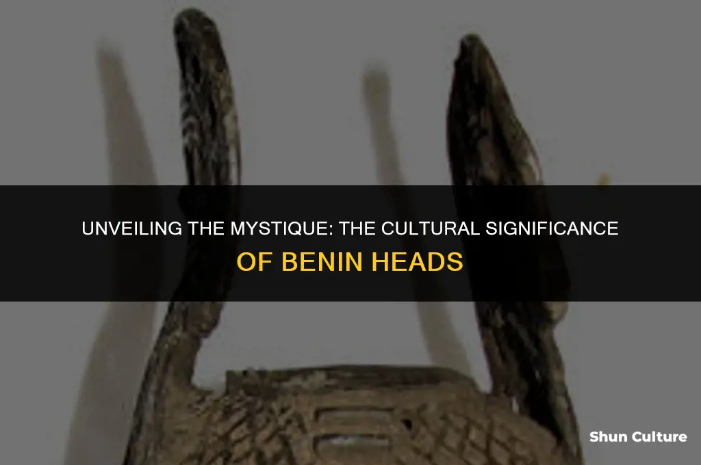 what is the purpose of benin heads