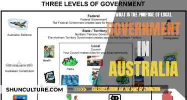 Understanding Local Government's Role in Australia