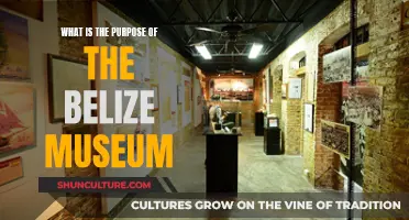 The Belize Museum: Unveiling the Ancient Maya Secrets