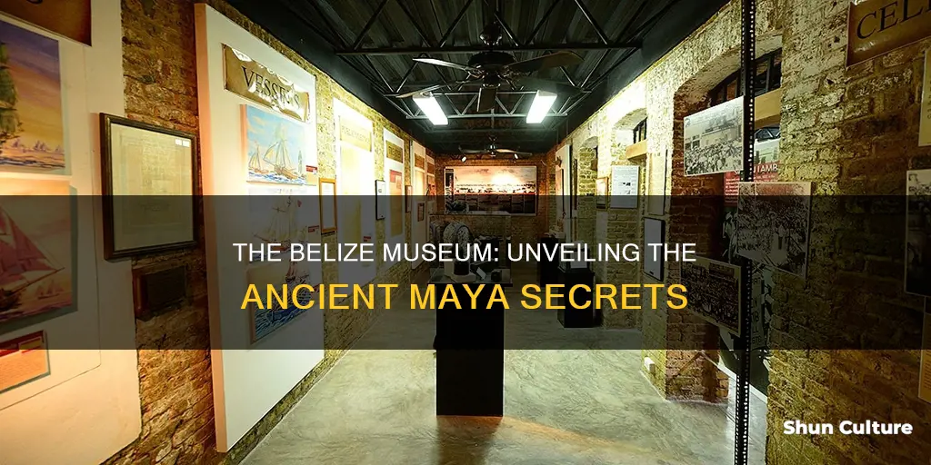 what is the purpose of the belize museum